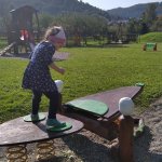 phoca_thumb_m_co dlaj veverky 19 Fotogalerie